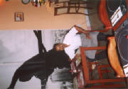0462_3a.jpg